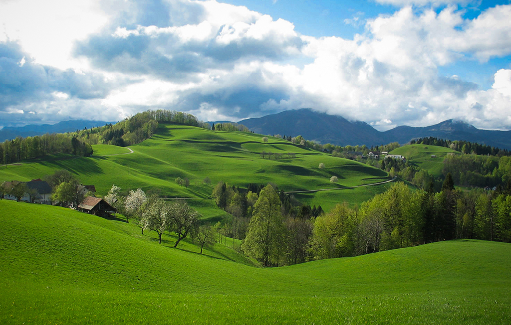 green hills in slovenia during our acroyoga retreat